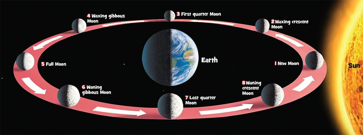 How to Teach Moon Phases in an Elementary Classroom